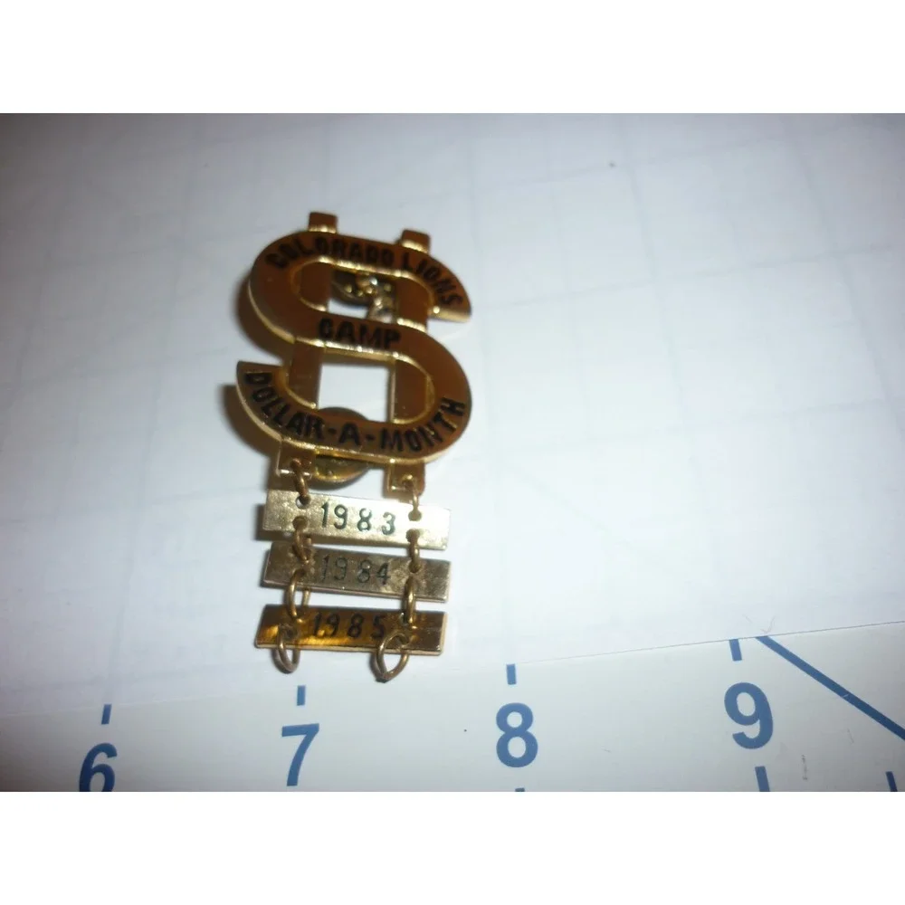 Vintage Lions‎ Club Pin Colorado Camp 19836 1994 1985 Dollar A Month